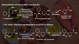 Nature-inspired remodeling of (aza)indoles to meta-aminoaryl nicotinates for late-stage conjugation of vitamin B3 to (hetero)arylamines