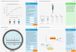 Laboratory practicals: Goals, perspectives and ways of adding value to teaching labs in higher education