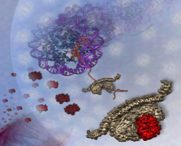 Women In Science profiles: Irene Díaz-Moreno 