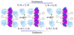 A coordination polymer that facilitates temperature controlled release and capture of cyclodextrin