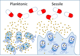 Biofilms – lifestyles of the fixed and resilient!