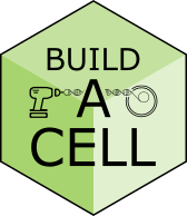 SEED 2019 - Build-a-Cell
