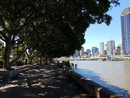 Using Australian Synthetic Biology: Q&A with Claudia Vickers (Part 2)