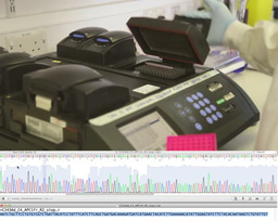 QMUL Science Alive: DNA Sequencing of Cancer Gene Mutations