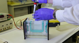 QMUL Science Alive: Protein Expression and Purification