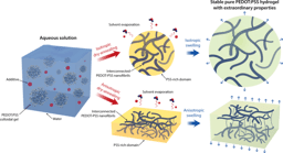 Pure PEDOT:PSS hydrogels