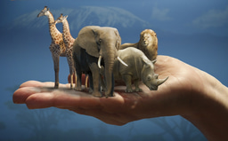 Book Review: The Science Behind Aesop’s Menagerie