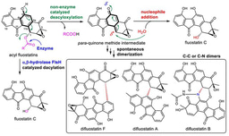 Acyls lost, dimers arose