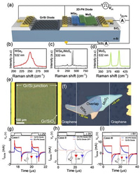 Graphene-Silicon Diode for 2D Heterostructure Electrical Failure Protection