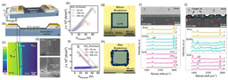 Current Crowding in Graphene-Silicon Schottky Diodes