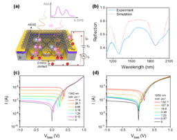 Plasmon resonance-enhanced graphene nanofilm-based dual-band infrared silicon photodetector