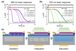 A Multifunctional Device Based on Graphene/Silicon Heterojunction