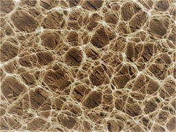 Hydrogel stabilisation: Crosslinking without disadvantages