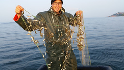 Admixture facilitates rapid ecological speciation