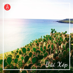 Challenges for female scientists in a traditional Asian society 