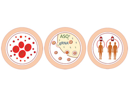 Harnessing red blood cell vesicles for gene therapies