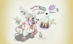 The Oral Virome-A New Driver in Periodontal Disease and "Periodontal Arthritis"