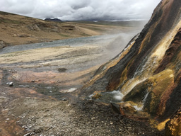 Isolation of selective microorganisms from hot spring microbial mats using co-culturing strategy: a perspective of microbial interaction