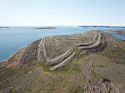 Uncovering a decline in Earth's adolescent biosphere