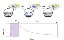 Graphene as a detective to unravel molecular self-assembly