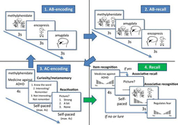Editorial Summary—Integrating educational knowledge: reactivation of prior knowledge during educational learning enhances memory integration