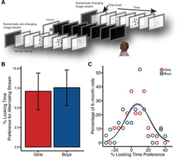 Editorial Summary—No intrinsic gender differences in children’s earliest numerical abilities