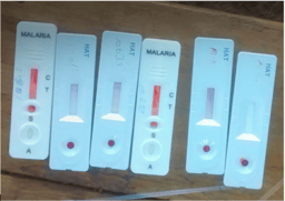 Tracing product pathways from development to scale