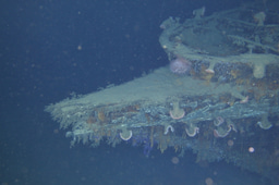 The shipwreck Anona - a microbial island under sea