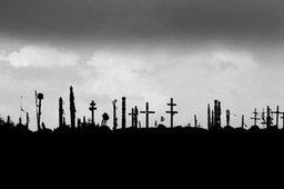 A census of the dead: the story behind microbial ‘relic DNA’ in soil