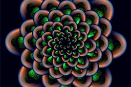 Flames in Space Poll: What's it all about?