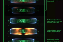 Flames in Space Image Poll: Blowoff Sequence