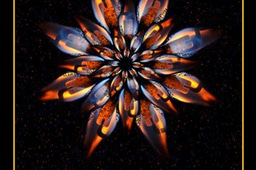 Flames in Space Image Poll: Dragon's Breath