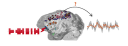 Modelling and prediction of the dynamic responses of large-scale brain networks during direct electrical stimulation