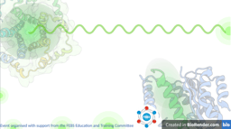Promoting visual literacy in bio-molecular sciences education