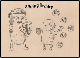 Episode 2 Sibling Rivalry 