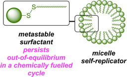 A Chemically Fuelled Self-Replicator