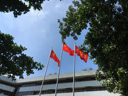 Distribution and metabolisms of Woesearchaeota 