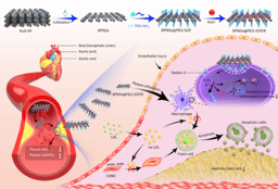 Targeted-peptide nanosheets for anti-atherosclerotics delivery to lesional macrophages 