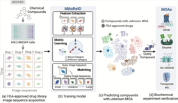 Deep learning large-scale drug discovery and repurposing