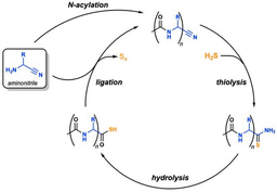 Peptide synthesis at the origins of life: energy-rich aminonitriles by-pass deactivated amino acids completely