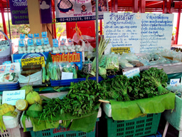 Probiotics against MRSA