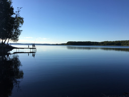 The research avenues NOT taken