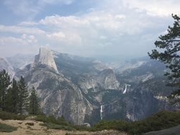 How science outreach can help us protect biodiversity 