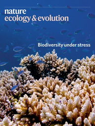 Gallery | July 2020 cover