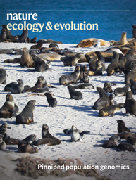 Gallery | August 2020 cover