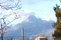 Speciation Gordon Research Conference