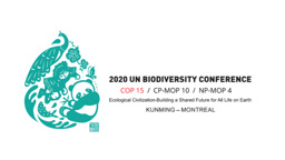 COP 15 | Negotiating the future of biodiversity: Q&A with Francis Ogwal and Basile van Havre