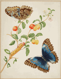 Women and the art of doing science