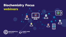 What shapes young people's STEM trajectories?