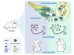 After the Paper | The marriage of calixarene and cyclodextrin